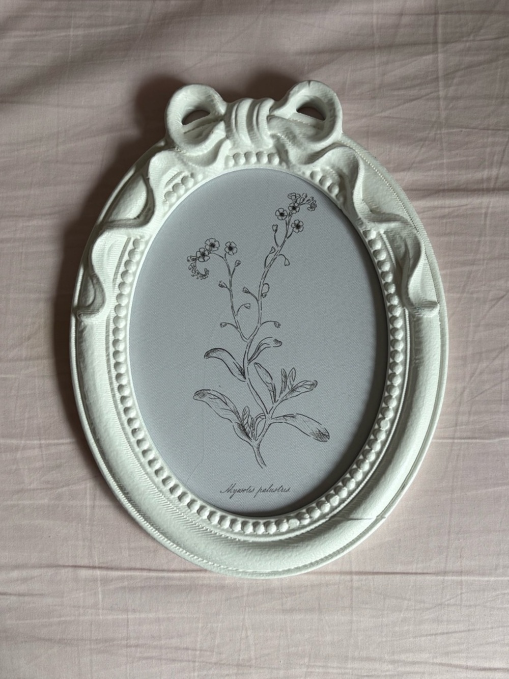 Forget-Me-Not Framed Print